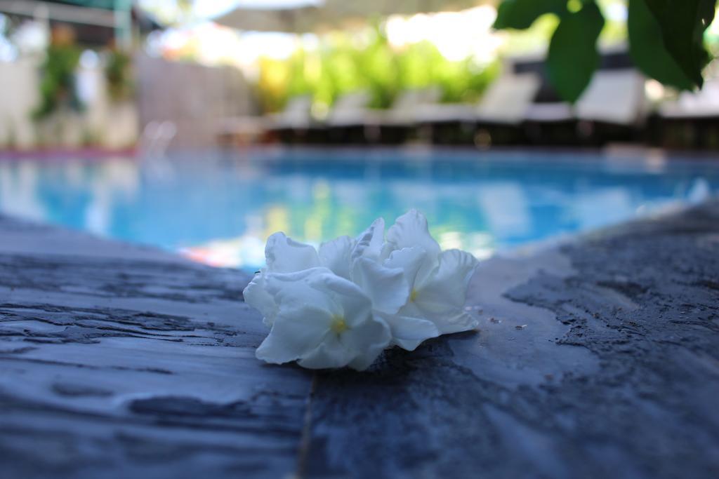 Phuc Thao Villa Hoi An Zewnętrze zdjęcie